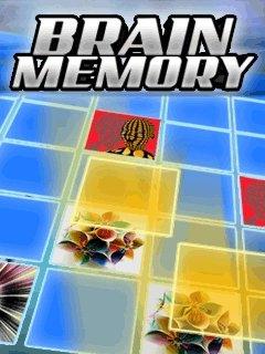 Brain Memory